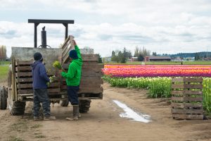 Different Treatment on Workers’ Comp for Farm Laborers Stricken